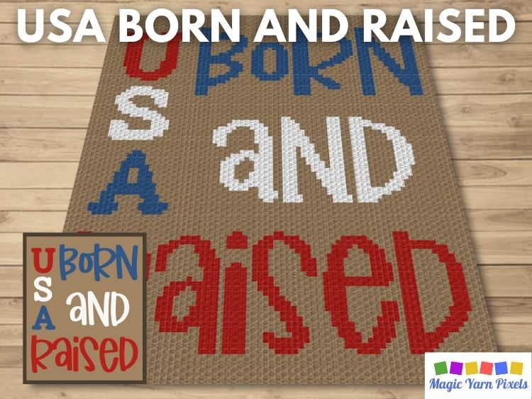 BLOG PREVIEW POSTER - USA Born And Raised
