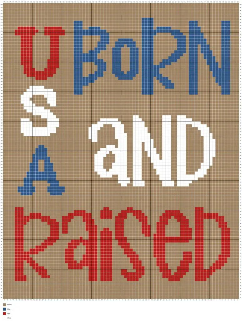 USA Born And Raised by Magic Yarn Pixels